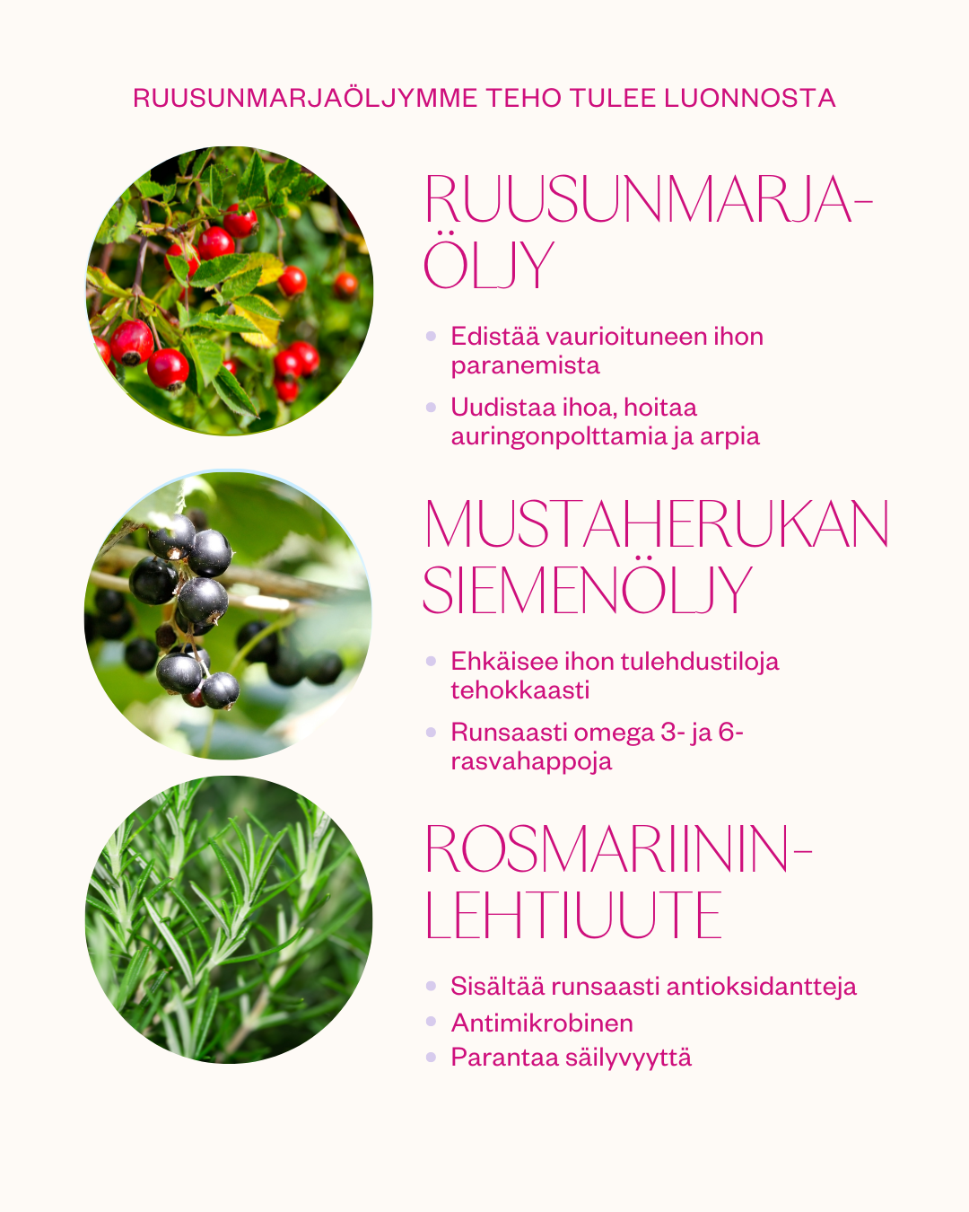 Rosehip Intensive Treatment Oil hoitoöljy herkälle ja haasteelliselle iholle